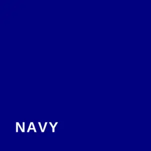 Navy #000080