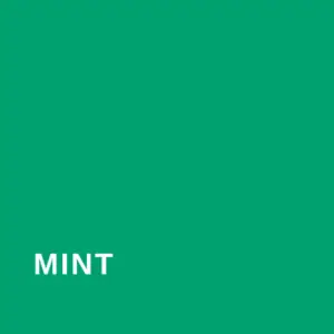 Farbe Mint #00A170