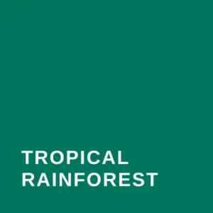 Tropical Rainforest #00755E